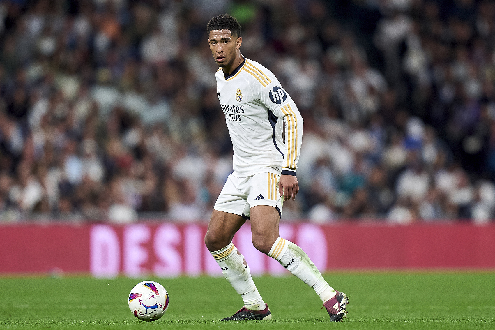 激发了更多 激发了更多