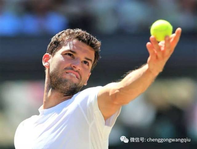 比如引入新 比如引入新