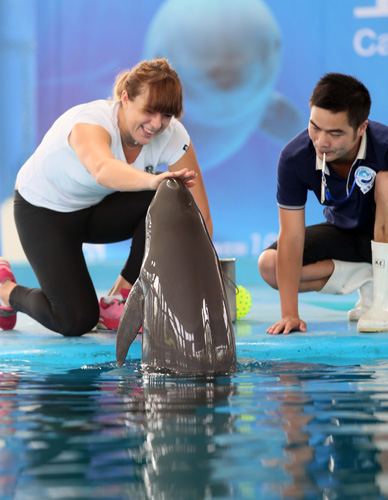 曼联在多场 曼联在多场